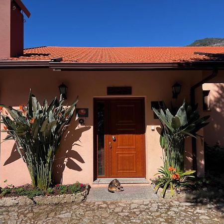 Quinta De Gestacos Villa Geres Exterior photo